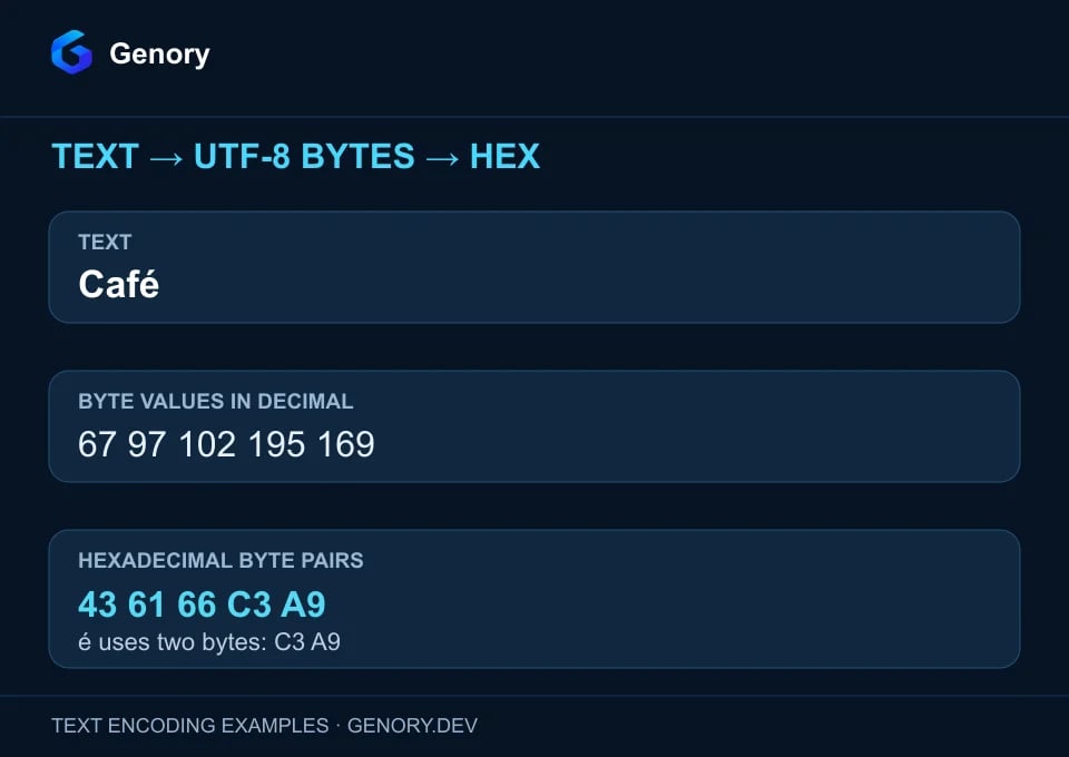 Café maps to five UTF-8 bytes: 43 61 66 C3 A9. The final é occupies two bytes, C3 A9.